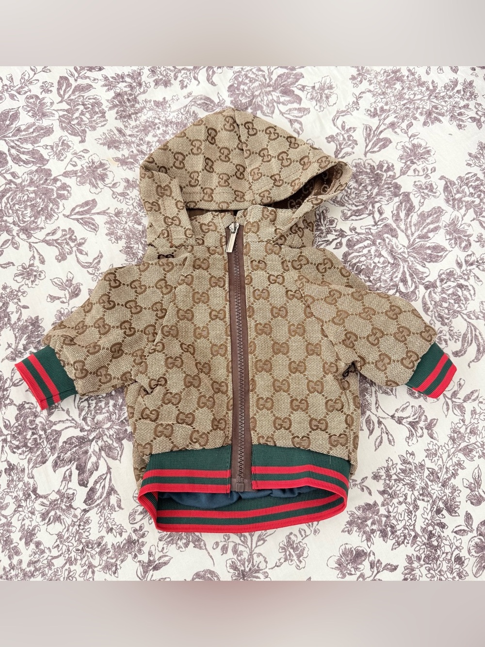 Designer-Inspired Brown & Green Pet Hoodie with Zip size L for small breeds